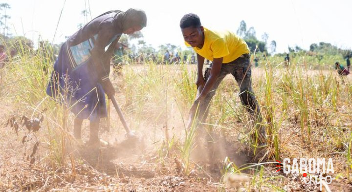 Afrique australe : des millions de personnes menacées par la faim alors que la période de soudure démarre