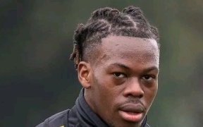 Mercato&nbsp;: l’Allemand Hoffenheim sur la piste du gabonais Jacques Ekomié