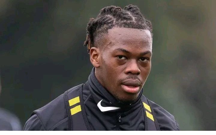 Mercato : l’Allemand Hoffenheim sur la piste du gabonais Jacques Ekomié