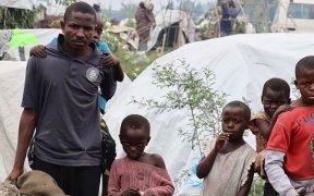 RDC : 1,3 million de personnes déplacées par les violences dans l’Est