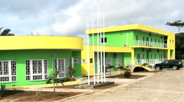 Panthères du Gabon&nbsp;: Plus de 600 candidatures enregistrées pour l’après Mouyouma