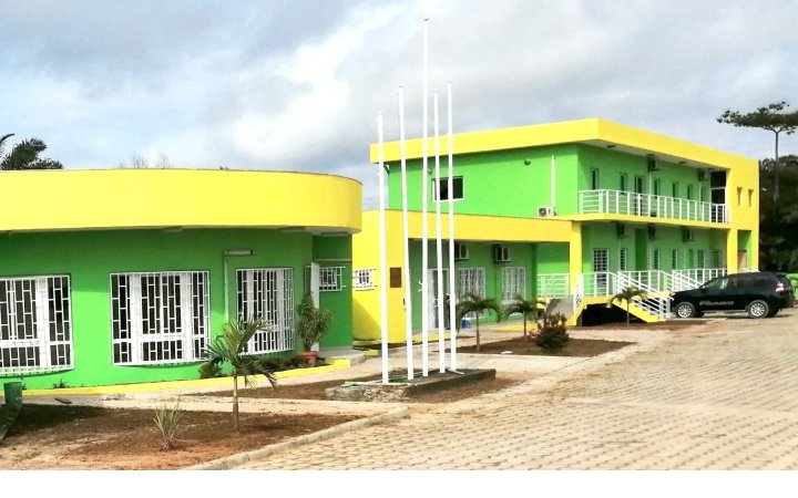 Panthères du Gabon&nbsp;: Plus de 600 candidatures enregistrées pour l’après Mouyouma