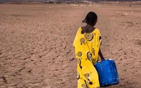 De grandes parties du monde plus sèches que la normale en 2021