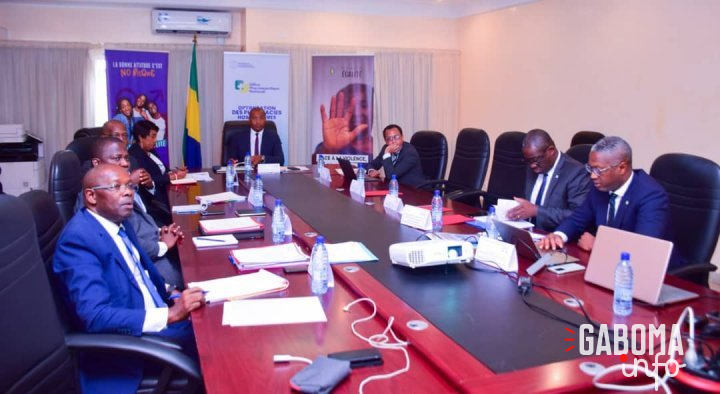 Deuxième session du comité de surveillance et de contrôle des organismes de protection sociale du Gabon