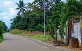 Ndéndé : Un homme parti pour récolter du vin de palme, disparait en forêt 