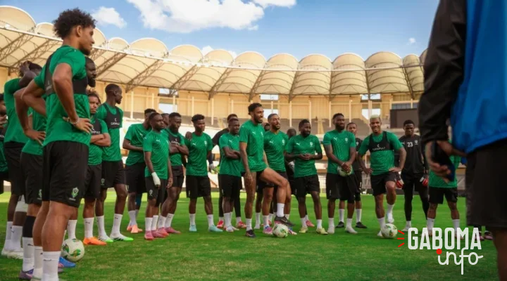 Panthères du Gabon&nbsp;: Pas de match amical en juin, faute de sélectionneur