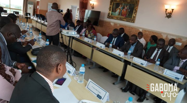 Energie et eau : Séminaire de renforcement des capacités sur les partenariats public-privé à Libreville