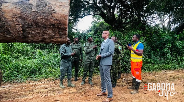 Forêt : le ministre Maurice Ntossui Allogo intensifie les contrôles sur le terrain
