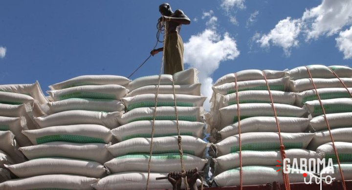 Les prix alimentaires mondiaux continuent de baisser depuis dix mois selon la FAO